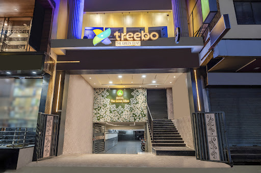 Treebo Green Olive
